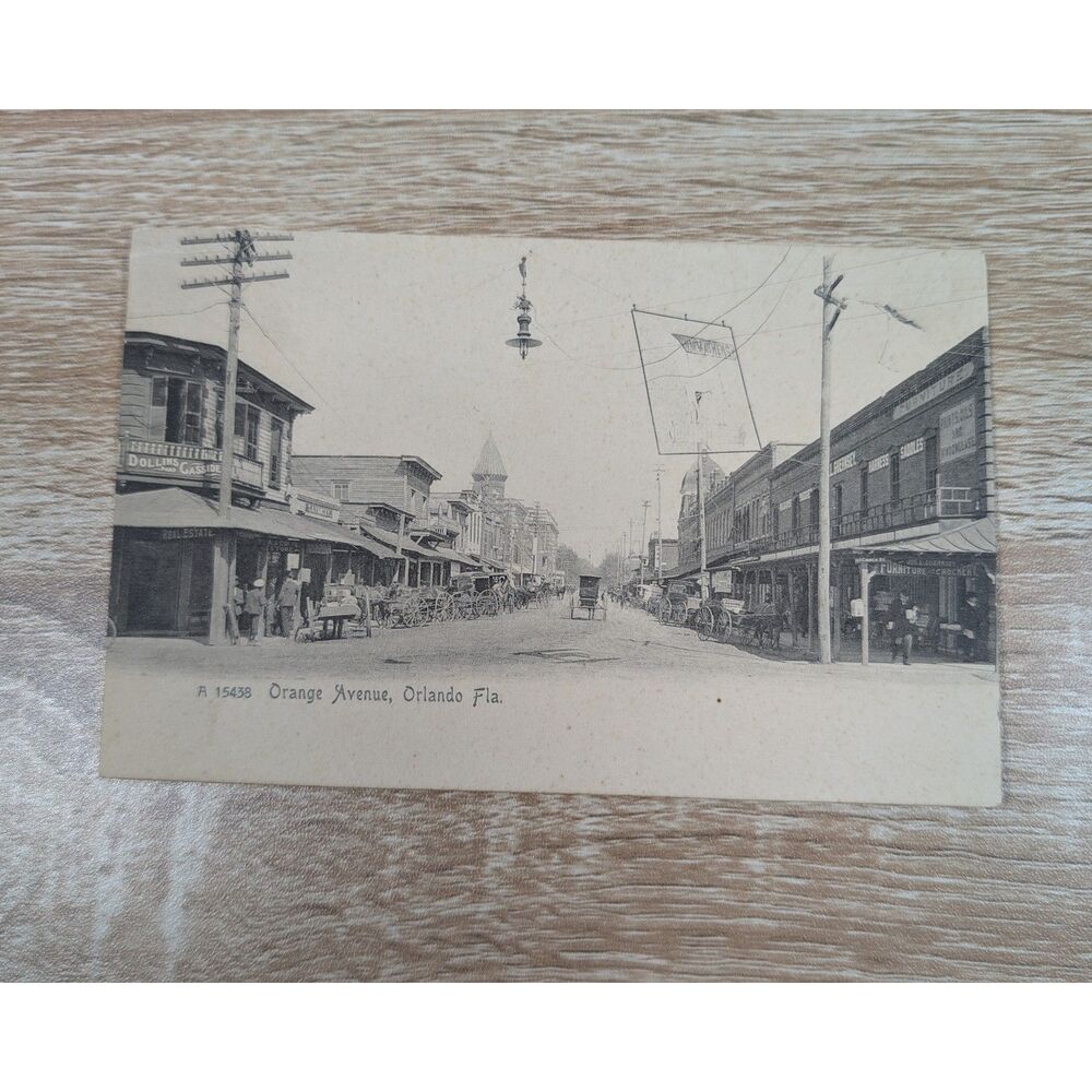 Vintage Orange Avenue Orlando FL Postcard Horse Carriages Early 1900s